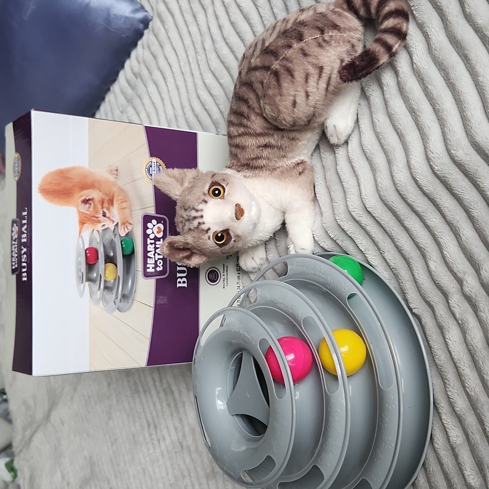 Busy ball cat toy plus cat plush